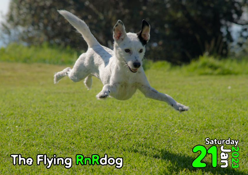 The Flying RnRdog 21.01.2023